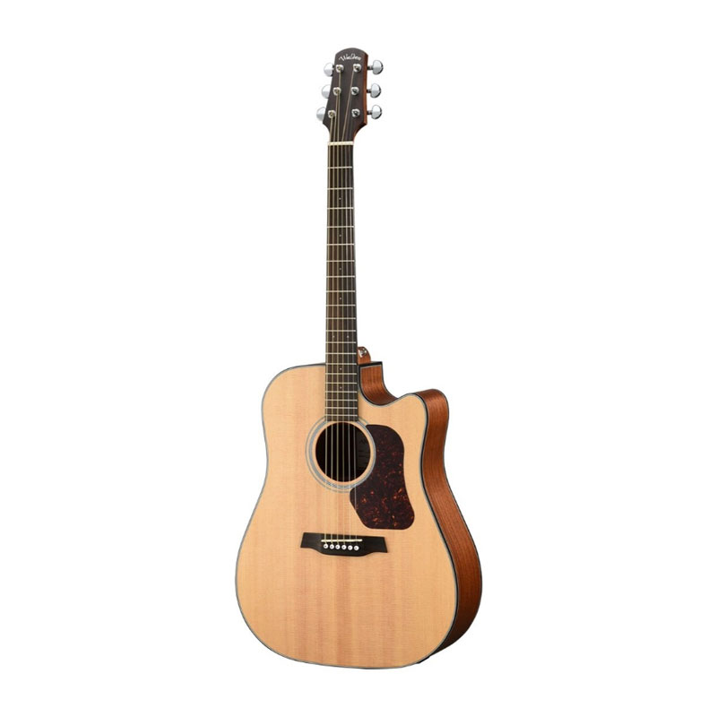 Guitarra Profesional